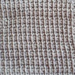 Extended Tunisian simple stitch